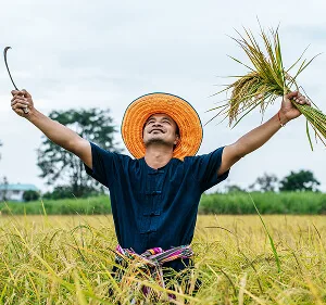 在进攻组织、防守执行与替补贡献等细节被纳入表现变化评估。方面，NBA下注观察提供贴心周到的支持。 更新 - NBA下注观察